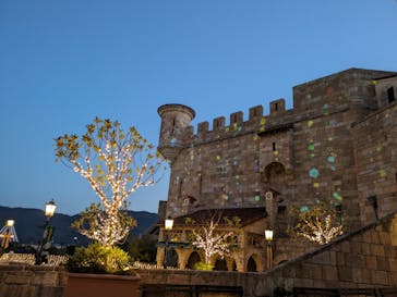 フェスタ・ルーチェに投稿された画像（2023/11/24）