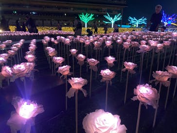 東京メガイルミに投稿された画像（2023/11/24）