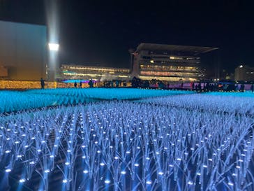 東京メガイルミに投稿された画像（2023/11/24）