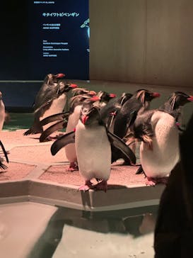 AOAO SAPPOROに投稿された画像（2023/11/24）