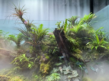 AOAO SAPPOROに投稿された画像（2023/11/24）