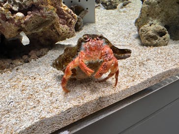 AOAO SAPPOROに投稿された画像（2023/11/24）