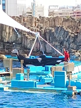 名古屋港水族館に投稿された画像（2023/11/24）