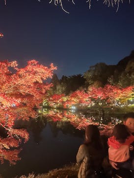 名古屋市東山動植物園に投稿された画像（2023/11/24）
