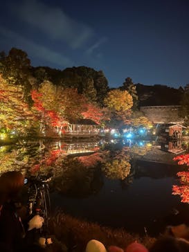 名古屋市東山動植物園に投稿された画像（2023/11/24）