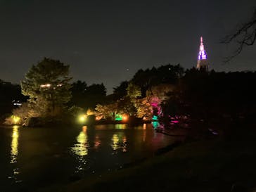 NAKED 紅葉の新宿御苑2023に投稿された画像（2023/11/24）