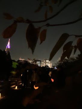 NAKED 紅葉の新宿御苑2023に投稿された画像（2023/11/24）