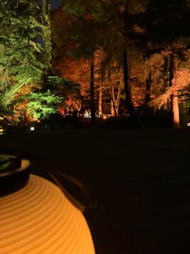 NAKED 紅葉の新宿御苑2023に投稿された画像（2023/11/24）