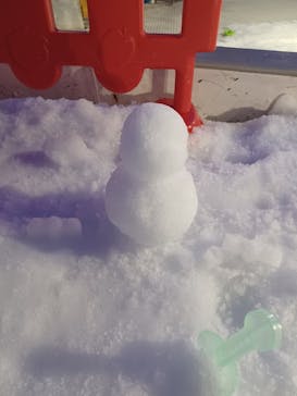 東京あそびマーレに投稿された画像（2023/11/24）