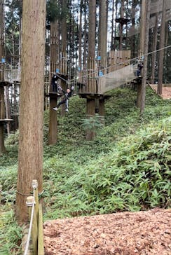 フォレストアドベンチャー・栗東に投稿された画像（2023/11/24）