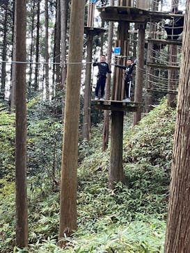 フォレストアドベンチャー・栗東に投稿された画像（2023/11/24）