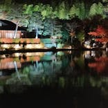 国営昭和記念公園 秋の夜散歩に投稿された画像（2023/11/24）