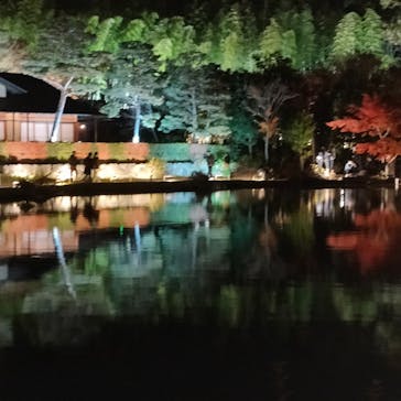 国営昭和記念公園 秋の夜散歩に投稿された画像（2023/11/24）