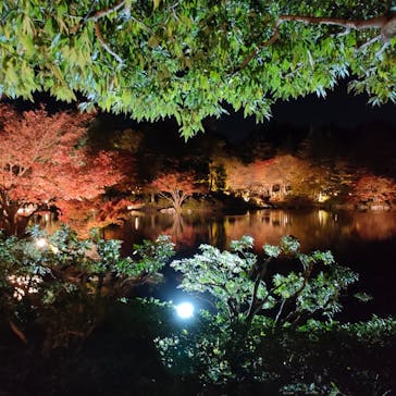 国営昭和記念公園 秋の夜散歩に投稿された画像（2023/11/24）