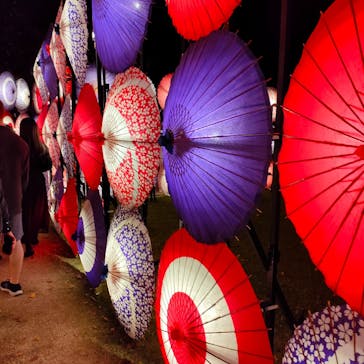 国営昭和記念公園 秋の夜散歩に投稿された画像（2023/11/24）