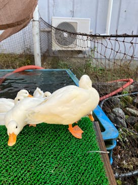 箱根園水族館に投稿された画像（2023/11/24）