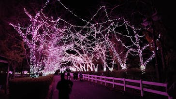 東武動物公園に投稿された画像（2023/11/24）