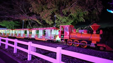 東武動物公園に投稿された画像（2023/11/24）