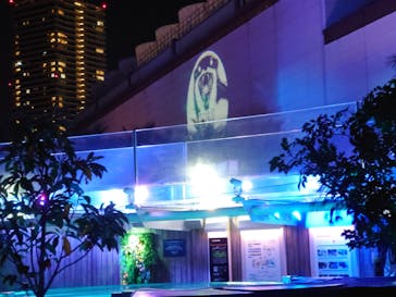 サンシャイン水族館に投稿された画像（2023/11/24）