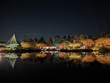 国営昭和記念公園 秋の夜散歩に投稿された画像（2023/11/24）