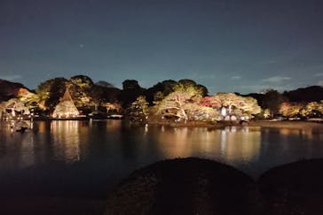 六義園に投稿された画像（2023/11/24）