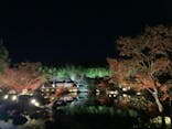 国営昭和記念公園 秋の夜散歩に投稿された画像（2023/11/24）