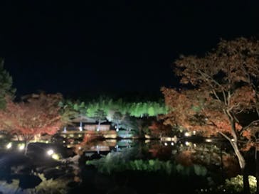 国営昭和記念公園 秋の夜散歩に投稿された画像（2023/11/24）