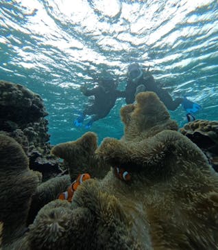 宮古島 ADVENTURE PiPi（ミヤコジマ アドベンチャー ピピ）に投稿された画像（2023/11/24）