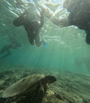 宮古島 ADVENTURE PiPi（ミヤコジマ アドベンチャー ピピ）に投稿された画像（2023/11/24）