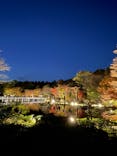 国営昭和記念公園 秋の夜散歩に投稿された画像（2023/11/24）