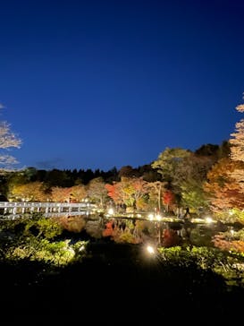 国営昭和記念公園 秋の夜散歩に投稿された画像（2023/11/24）