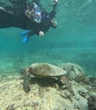 宮古島 ADVENTURE PiPi（ミヤコジマ アドベンチャー ピピ）に投稿された画像（2023/11/24）