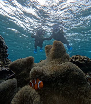 宮古島 ADVENTURE PiPi（ミヤコジマ アドベンチャー ピピ）に投稿された画像（2023/11/24）