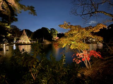 六義園に投稿された画像（2023/11/24）