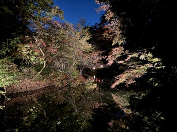 六義園に投稿された画像（2023/11/24）