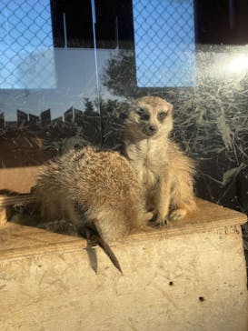 よこはま動物園ズーラシアに投稿された画像（2023/11/24）