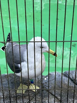 よこはま動物園ズーラシアに投稿された画像（2023/11/24）