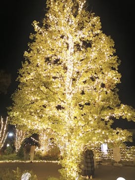 いばらきフラワーパークに投稿された画像（2023/11/24）