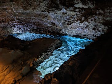 おきなわワールドに投稿された画像（2023/11/24）