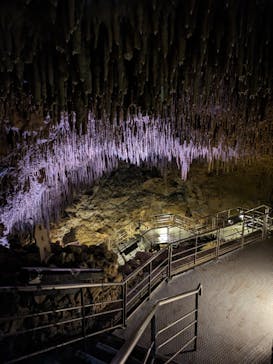 おきなわワールドに投稿された画像（2023/11/24）