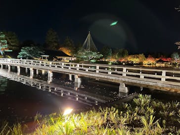 国営昭和記念公園 秋の夜散歩に投稿された画像（2023/11/24）