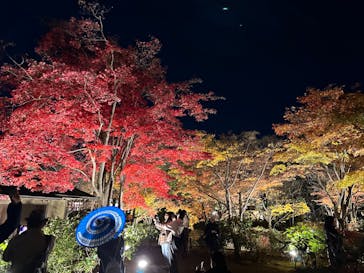 国営昭和記念公園 秋の夜散歩に投稿された画像（2023/11/24）