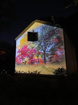 六義園に投稿された画像（2023/11/24）