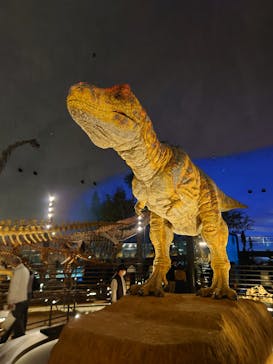 福井県立恐竜博物館に投稿された画像（2023/11/24）