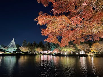 国営昭和記念公園 秋の夜散歩に投稿された画像（2023/11/24）