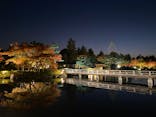 国営昭和記念公園 秋の夜散歩に投稿された画像（2023/11/24）