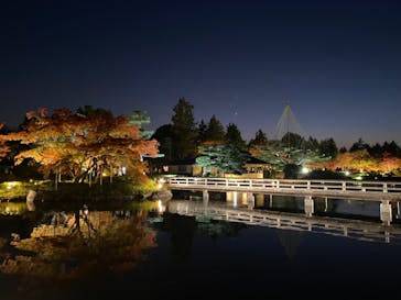 国営昭和記念公園 秋の夜散歩に投稿された画像（2023/11/24）