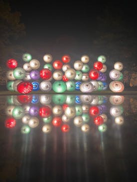 国営昭和記念公園 秋の夜散歩に投稿された画像（2023/11/24）