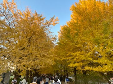 国営昭和記念公園 秋の夜散歩に投稿された画像（2023/11/24）