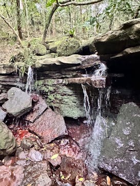 西表島 ADVENTURE PiPi（アドベンチャーピピ）に投稿された画像（2023/11/24）